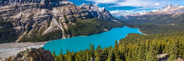 Drzewa, Las, Skały, Jezioro Peyto Lake, Park Narodowy Banff, Kanada, Prowincja Alberta, Góry, Chmury