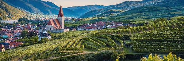 Winnice, Dolina Wachau, Chmury, Roślinność, Góry, Rzeka, Domy, Austria, Weissenkirchen, Plantacja