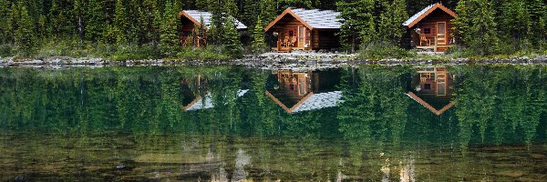 Las, Jezioro OHara, Kamienie, Domki, Park Narodowy Yoho, Kanada
