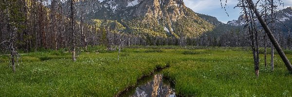 Łąka, Góra McGown Peak, Stany Zjednoczone, Stan Idaho, Drzewa, Rzeka, Potok, Góry