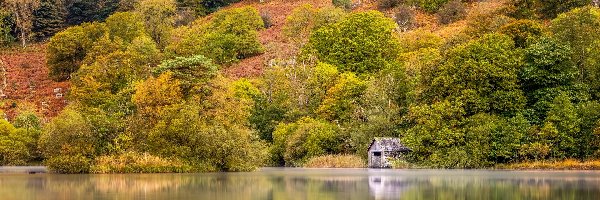 Park Narodowy Lake District, Jezioro, Anglia, Chata, Drzewa, Odbicie, Mgła, Jesień, Las, Kumbria