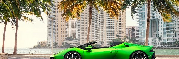 Palmy, Lamborghini Huracan, Zielone