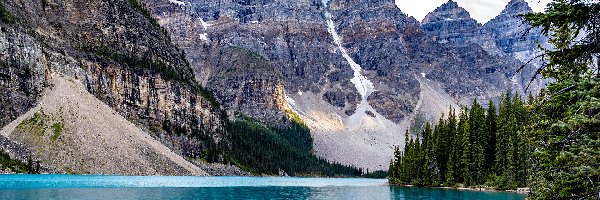 Park Narodowy Banff, Świerki, Jezioro Moraine, Kanada, Las, Góry