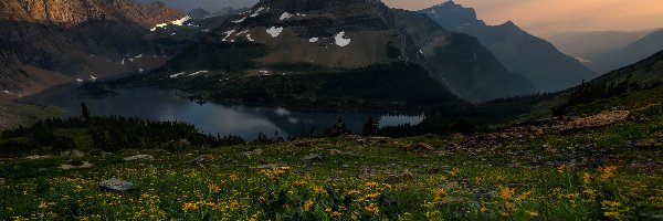 Chmury, Góry Lewis Range, Stany Zjednoczone, Kwiaty, Jezioro Hidden, Łąka, Żółte, Park Narodowy Glacier, Góra Bearhat Mountain, Stan Montana