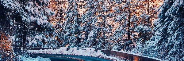 Zima, Śnieg, Droga, Zakręt, Drzewa