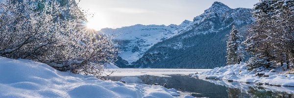 Louise Lake, Jezioro, Park Narodowy Banff, Alberta, Kanada, Zima, Drzewa, Góry Skaliste, Promienie słońca