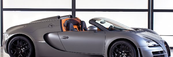 Bok, Bugatti Veyron Grand Sport