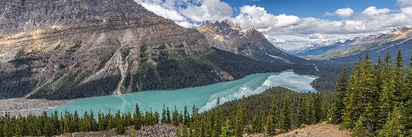 Kanada, Jezioro Peyto Lake, Lasy, Góry Canadian Rockies, Park Narodowy Banff, Alberta, Drzewa