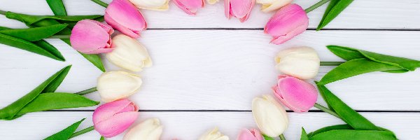Kwiaty, Białe, Sztuczne, Tulipany, Różowe