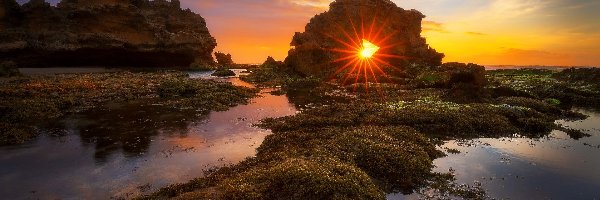 Plaża Bridgewater Bay, Półwysep Mornington, Roślinność, Skały, Park Narodowy Mornington Peninsula, Zatoka, Zachód słońca, Australia