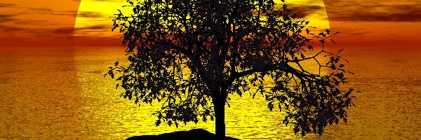 Zachód słońca, 2D, Morze, Drzewo
