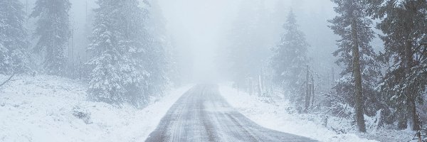 Droga, Śnieg, Zima, Mgła, Drzewa