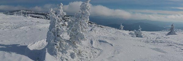 Zima, Śnieg, Drzewa, Chmury, Wzgórze