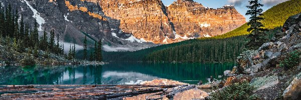 Drzewa, Las, Kłody, Moraine Lake, Jezioro, Kanada, Alberta, Góry, Park Narodowy Banff