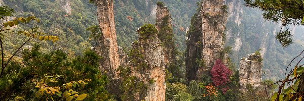 Chiny, Skały, Góry, Wulingyuan Scenic Area, Las, Hunan, Zhangjiajie National Forest Park