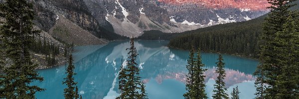 Góry, Prowincja Alberta, Jezioro Moraine, Kanada, Park Narodowy Banff, Świerki, Drzewa