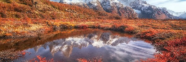 Szczyt Fitz Roy, Góry Andy, Kałuża, Patagonia, Argentyna, Jesień, Roślinność, Odbicie, Kolorowa