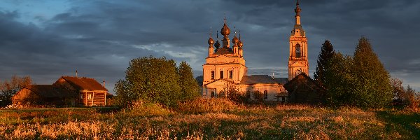 Obwód jarosławski, Rośliny, Savinskoye, Rosja, Drzewa, Cerkiew