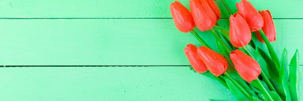 Tulipany, Deski, Zielone, Czerwone