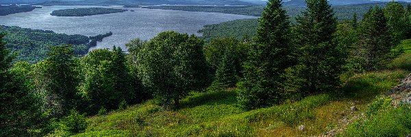 Mooselookmeguntic Lake, Las, Stany Zjednoczone, Jezioro, Kamienie, Stok, Rośliny, Chmury, Drzewa, Stan Maine