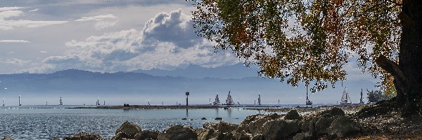 Kamienie, Brzeg, Drzewa, Chmury, Żaglówki, Jezioro Bodeńskie