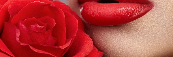 Kobieta, Makijaż, Usta, Róża, Czerwona