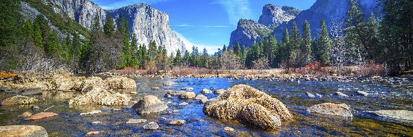 Kamienie, Merced River, Stan Kalifornia, Park Narodowy Yosemite, Stany Zjednoczone, Drzewa, Lasy, Rzeka, Góry