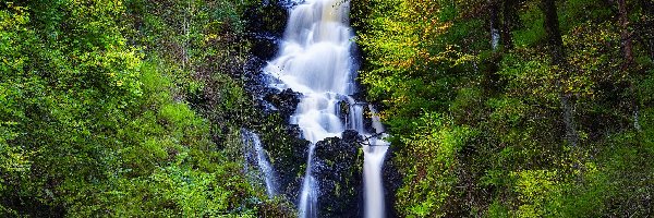 Szkocja, Las, Zarośla, Little Fawn Waterfall, Wodospad, Park Narodowy Loch Lomond i Trossachs, Skały