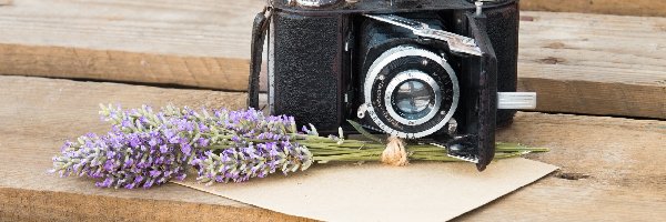 Stary, Deski, Aparat fotograficzny, Koperta, Lawenda