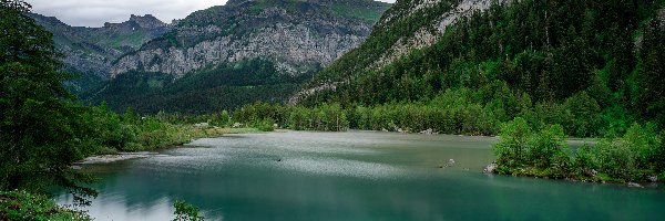 Lasy, Góry, Alpy Berneńskie, Kanton Valais, Szwajcaria, Lac de Derborence, Jezioro