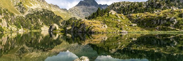 Drzewa, Lac Long, Szczyt Colomers, Pireneje, Góry, Hiszpania, Katalonia, Jezioro, Gmina Naut Aran