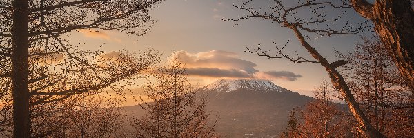 Japonia, Stratowulkan, Fudżi, Góra, Drzewa, Wyspa Honsiu, Chmury