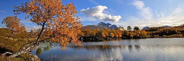 Drzewo, Góry, Jezioro, Jesień, Chmury