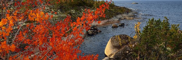 Człowiek, Jesień, Skały, Jezioro Ładoga, Rosja, Roślinność, Drzewa