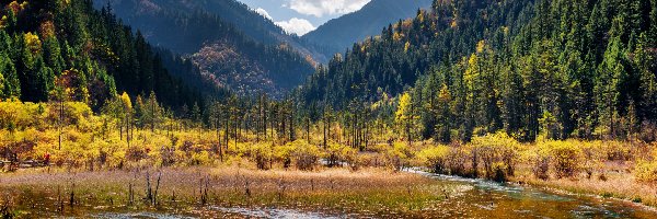Jesień, Krzewy, Lasy, Rzeka, Góry, Chiny, Park Narodowy Jiuzhaigou, Drzewa, Roślinność