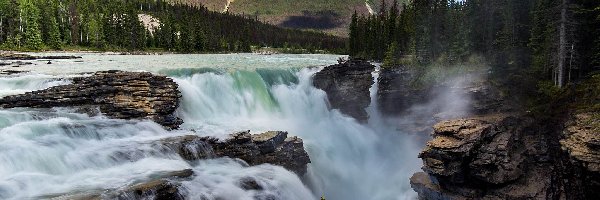 Rzeka Athabasca, Park Narodowy Jasper, Kanada, Prowincja Alberta, Wodospad Athabasca, Skały, Drzewa, Góry