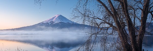 Japonia, Drzewa, Stratowulkan Fudżi, Lake Kawaguchi, Jezioro, Mount Fuji, Góra