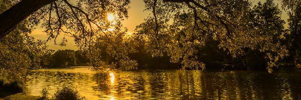 Jezioro, Wschód słońca, Drzewa, Park