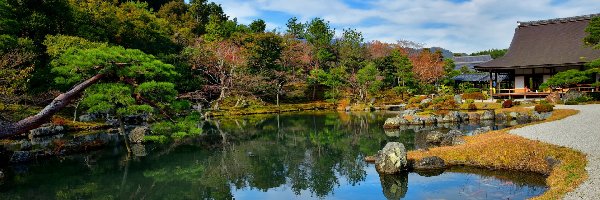 Japonia, Drzewa, Świątynia, Ogród, Staw, Kioto, Tenryu-ji