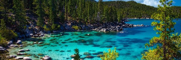 Drzewa, Tahoe Lake, Stany Zjednoczone, Kalifornia, Kamienie, Las, Brzeg, Jezioro