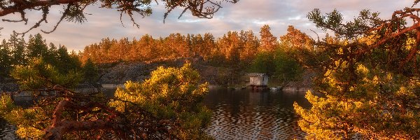 Jezioro Ładoga, Jesień, Drzewa, Rosja, Chmury