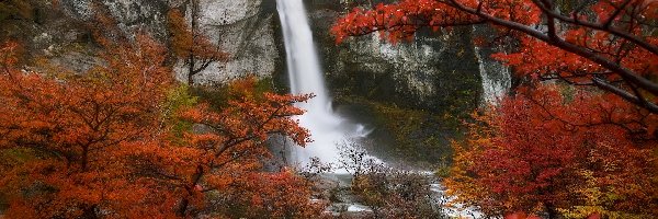 Argentyna, Patagonia, Jesień, Chorillo Del Salto, Wodospad, Skały, Roślinność