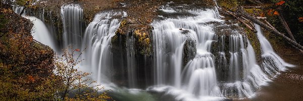 Wodospad, Rzeka, Stany Zjednoczone, Stan Waszyngton, Lewis River, Lower Lewis River Falls, Gifford Pinchot National Forest, Las