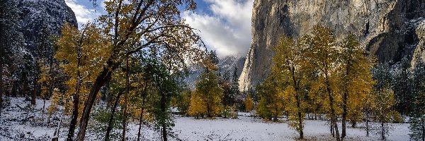 Park Narodowy Yosemite, Góry, Stany Zjednoczone, Śnieg, El Capitan, Żółte, Drzewa, Jesień, Szczyt, Stan Kalifornia