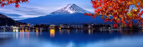 Jezioro, Góra Fudżi, Liście, Klon, Stratowulkan, Lake Kawaguchi, Drzewa, Japonia