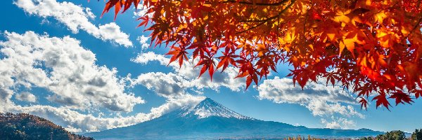 Chmury, Góra Fudżi, Japonia, Liście, Lake Kawaguchi, Gałęzie, Kolorowe, Stratowulkan, Jezioro, Wyspa Honsiu