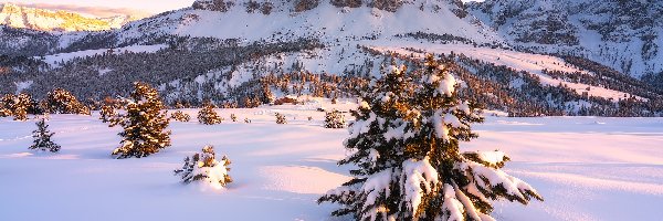 Zima, Dolomity, Włochy, Drzewa, Przełęcz, Passo delle Erbe, Śnieg, Góry, Góra Peitlerkofel, Południowy Tyrol