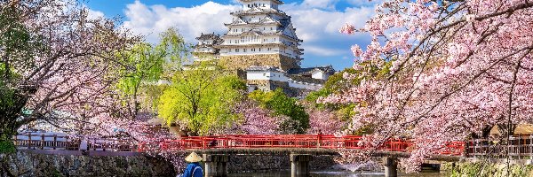 Kwitnące, Wiosna, Rzeka, Zamek Białej Czapli, Zamek Himeji, Japonia, Miejscowość Himeji, Łódka, Drzewa