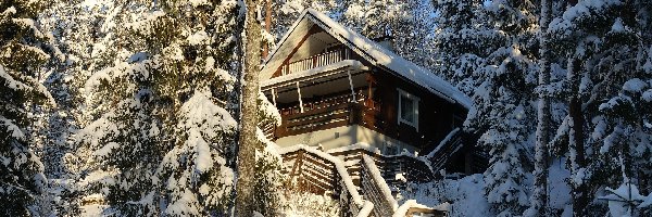 Śnieg, Dom, Drzewa, Słoneczny blask, Drewniany, Zima