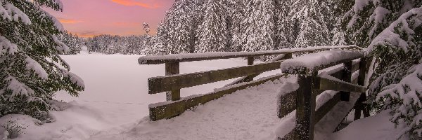 Śnieg, Mostek, Drzewa, Zima